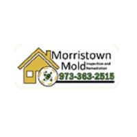 Morristown Mold image 1